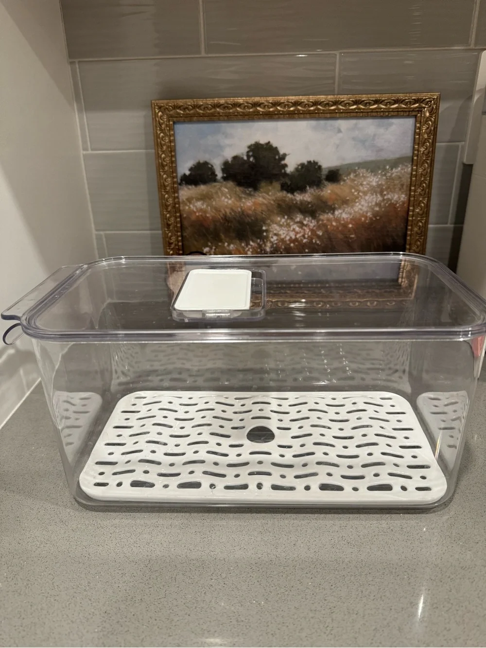 Clear Plastic Kitchen Storage Container with White Drain Tray